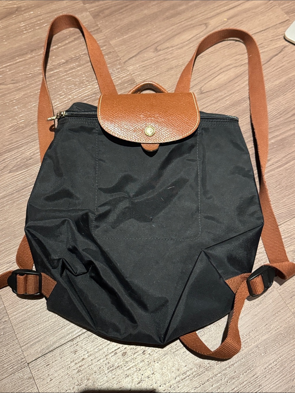 Longchamp Backpack